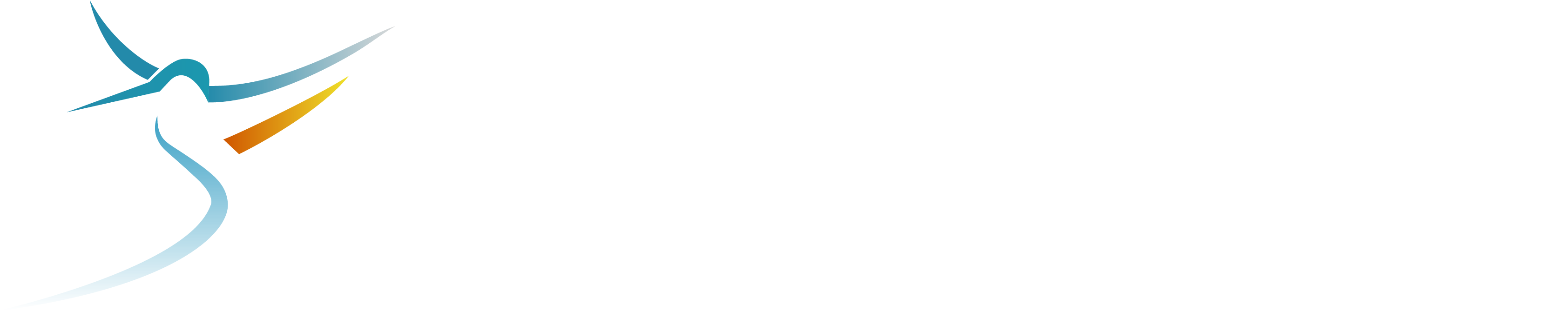 Colibri RS Solutions